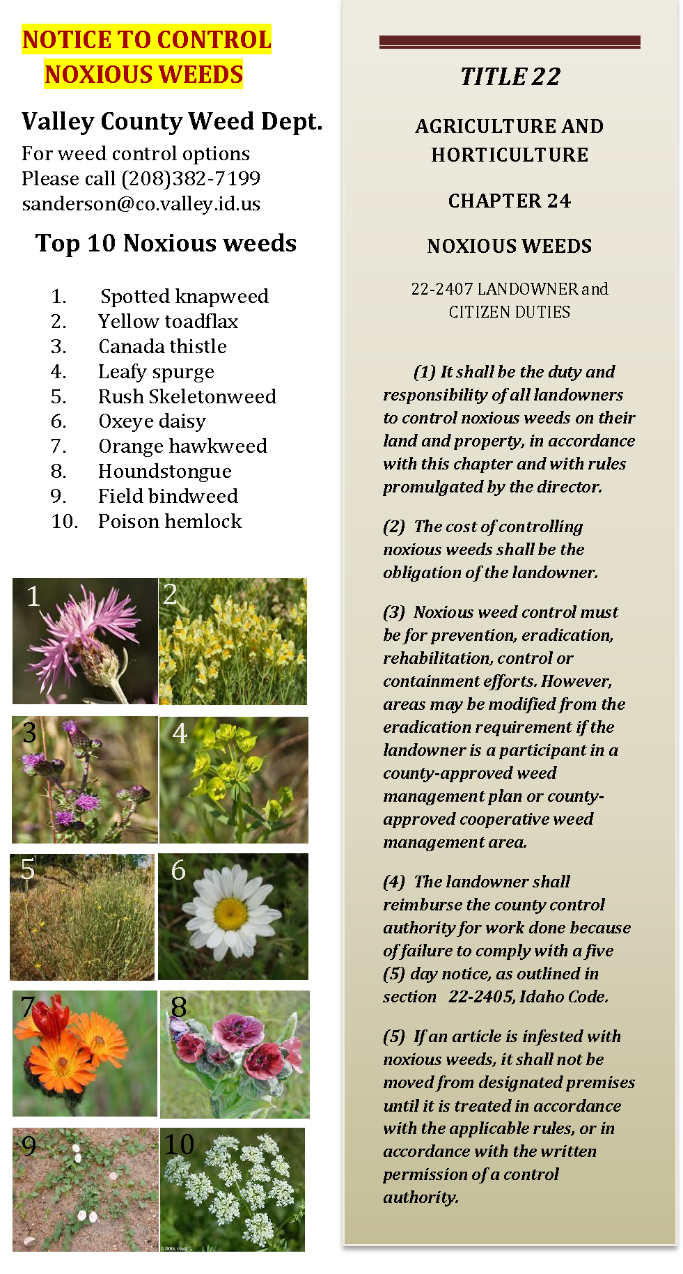 Official Website Of McCall, Idaho - Noxious Weeds And Poisonous Plants